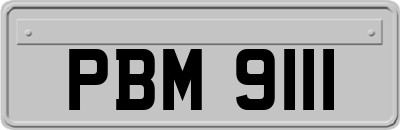 PBM9111