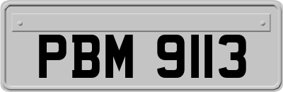 PBM9113