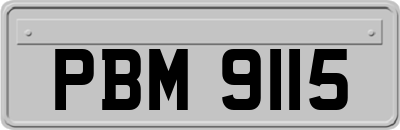 PBM9115