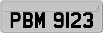 PBM9123