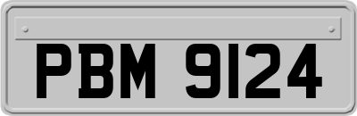 PBM9124