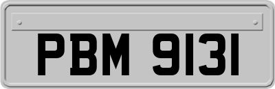 PBM9131