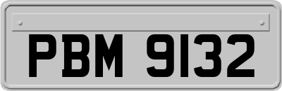 PBM9132