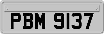 PBM9137