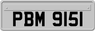 PBM9151