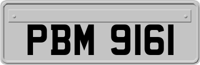 PBM9161