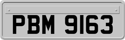 PBM9163