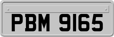 PBM9165