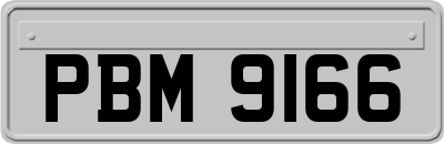 PBM9166