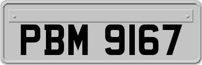 PBM9167