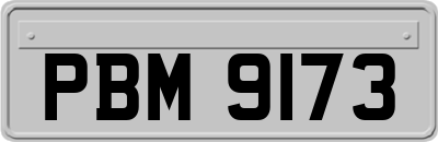 PBM9173