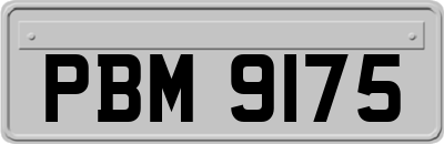 PBM9175