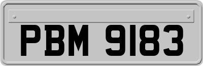 PBM9183