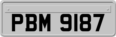 PBM9187