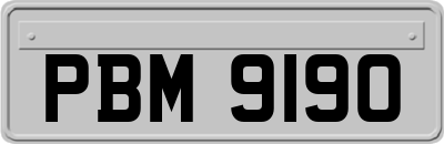 PBM9190