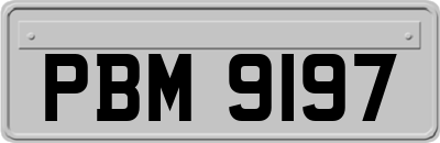 PBM9197