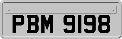 PBM9198