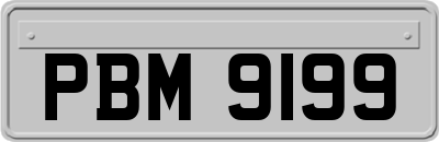 PBM9199