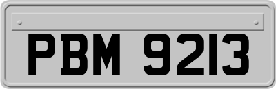 PBM9213