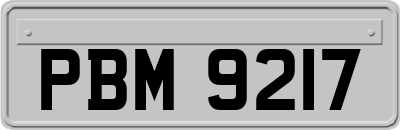 PBM9217