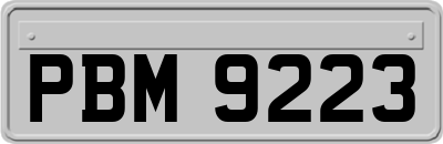 PBM9223