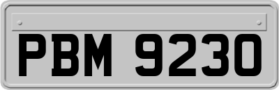 PBM9230