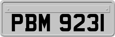 PBM9231