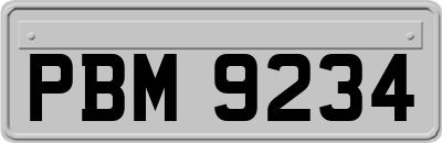 PBM9234