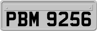 PBM9256