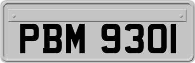 PBM9301