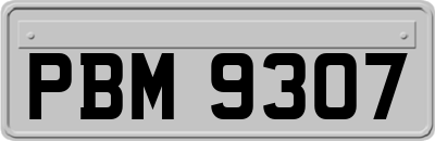 PBM9307