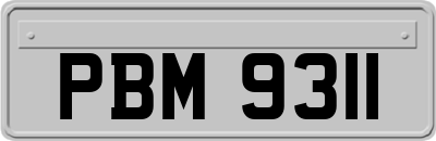 PBM9311