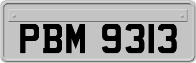 PBM9313