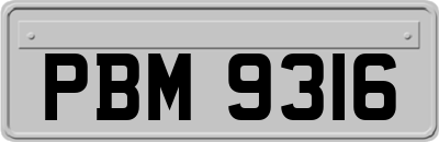 PBM9316