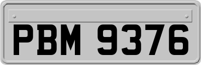 PBM9376