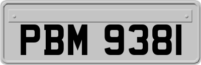 PBM9381