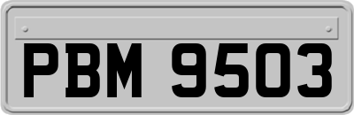 PBM9503