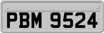 PBM9524