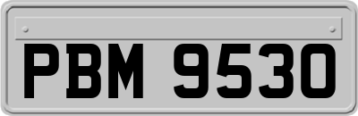 PBM9530