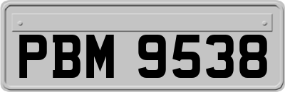 PBM9538