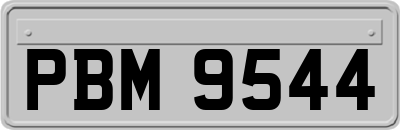 PBM9544