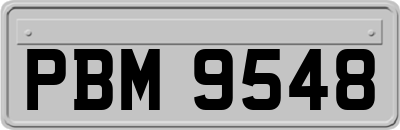 PBM9548