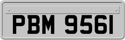 PBM9561