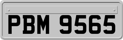 PBM9565