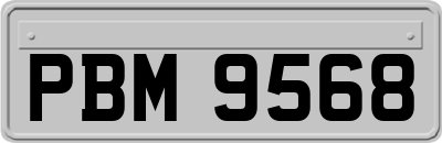 PBM9568