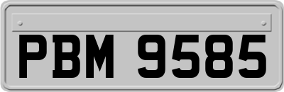 PBM9585