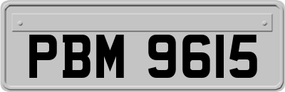 PBM9615