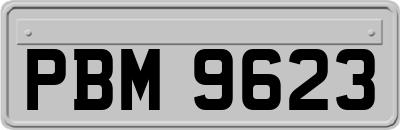 PBM9623