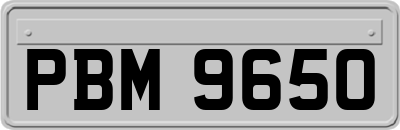 PBM9650