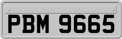 PBM9665